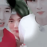 조심하세요 귀여운 <b>강쥐</b>가 튀어나와요