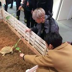 [댓글부탁해] 재업) 본진 <b>동물</b>들이랑 있는 짤 풀고가주라