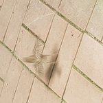 레전드판 보고 개정색<b>때</b><b>림</b>