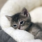 [19] 흐<b>이잉</b>..❤