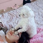 건성 <b>쿠션</b> 뭐 살까ㅠㅠ