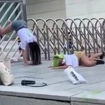 [드루와] 모교에서 트월<b>킹</b>하다 쫓겨난 <b>퀸</b> 와사비