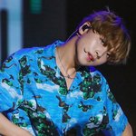 해찬 <b>삼백안</b>