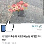 [댓글부탁해] 고양이 밥주던 당근시장 <b>이용자</b>.jpg