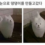 [ㅈㄱㄴ] 정시 돌려말아