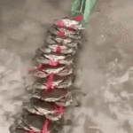 [19] <b>집단</b> 게이동영상