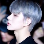 나만 정우이짤<b>첨보</b>냐