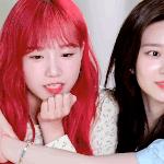 [모두드루와] 요즘 내가 아이즈원에서 좋아하는 조합