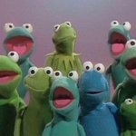 니네 화이브<b>보드</b>로 공부해봐