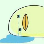 [TXT모아] 외롭지않아