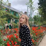 <b>수지</b> <b>로제</b> 인스타