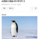 <b>요새</b> 왤캐 인생 노잼이냐