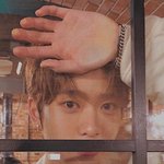 [NCT] 유사 <b>희망편</b> 절망<b>편</b>