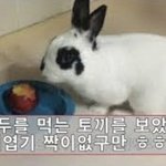 [NCT] 너넨 톱텐 머가 젤 조아