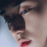 첸<b>닮음</b>