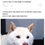[댓글부탁해] 애정<b>결핍</b> 진짜 어떻게 해야하지