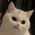 [댓글부탁해] 나 졸사 찍은 후에 엽떡<b>닭발</b>이랑 엽떡먹을거