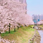 [방탄소년단] 베톡보고 갑자기 생각나서