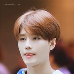 [<b>문태일</b>] 탤나잇