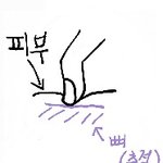 [댓글부탁해] 애들아 살찌면 <b>코도</b> 쪄?