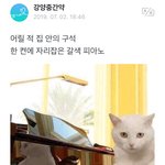 [방탄소년단] 이삐들 이것도 알고있었음??????