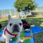 [이것좀봐줘] (도와주세요)혈청안약 타러 병원갔는데 왜 죽어야하나요