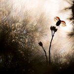 치열한 경쟁에서 수상한 작품들