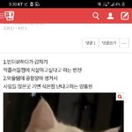 [댓글부탁해] <b>man</b>