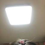 이렇게 핀 꼽고 다닌는거 <b>오바</b>냐