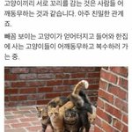 [드루와] 10대판 <b>나이</b>대 조사해보자