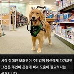 [MBTI] 개인적으로 가장 부러운 엠비티아이