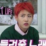 [NCT] 인준(<b>My</b> cute cat)이 많이 짜증이 났구나,,