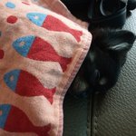 [강아지] 우리집 <b>루루</b>