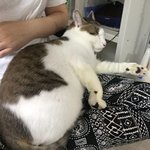 일어나... 제발......