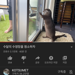 유튜브 이 채널 보는 사람있니 <b>hoxy</b>...?