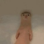 [댓글부탁해] 헤어졌는데 <b>상메</b> 추반 ㄱㄱ