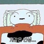 진짜 나는 왜 이렇게 태어났을까