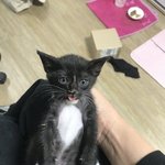 [댓글부탁해] 너네 스스로 예쁘다고 <b>자각</b>하는 때 말해봐