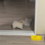 우리애기 <b>크기차이</b>좀 봐바 ㅋㅋㅋㅋㅋ