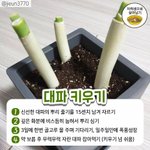 [댓글부탁해] 다들 지역 어디에 <b>사냐</b>