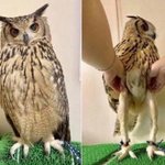 남돌 <b>갭</b>차이