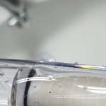 [이것좀봐줘] 인천 계양구 수돗물 벌레<b>유충</b>