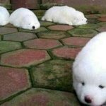 [댓글부탁해] 저번에 <b>술집</b>에서 만난 남자 연락해봤는데
