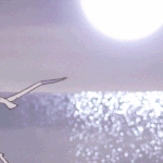 [드루와] <b>여상</b>다니는 판녀들 있니?