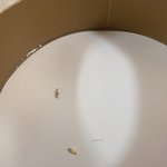 투썸플레이스 <b>케익</b>에서 살아있는 벌레 나왔어요!! (벌레사진주의....