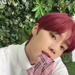 셀카 <b>필터</b> 몰까