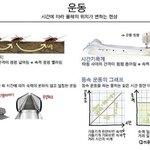 [드루와] 여름 꾸안꾸 머있음????