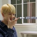 [NCT] 아 ㅅㅂ 김도영진짜 개쳐웃기네 ㅋㅋㅋㅋㅋㅋㅋㅋㅋㅋ