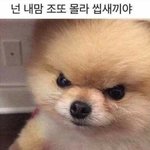 [댓글부탁해] 우리 남동생 ㅈㄴ<b>문빈</b> 닮았는데ㅋㅋ