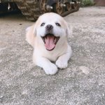 얘들아 나 허리디스크임? 살려주ㅗ 조카<b>아파</b>ㅠ